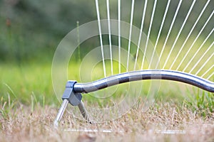 Oscillating sprinkler irrigating dry lawn on hot summer day photo