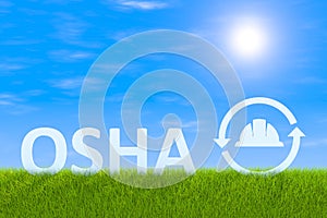 OSHA business concept green grass landscape background 3d