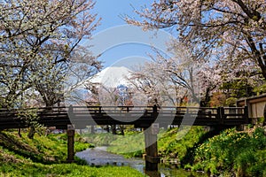 Oshino Hakkai village lake with fuji, cherry blossom