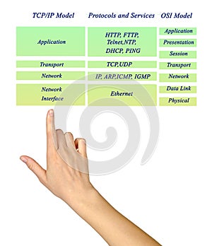 OSI and TCP/IP protocols