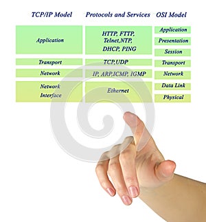 OSI and TCP/IP protocols
