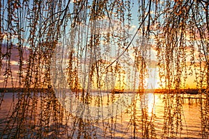 Secondo un fiume un bellissimo tramonto 