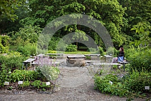 The University Botanical Garden (Botanisk hage) at Oslo, Norway