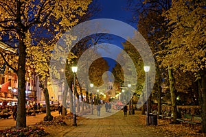 The park is next to the shopping street in Oslo, Norway. At dusk