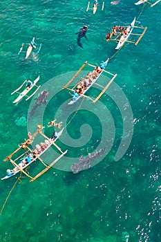 Oslob Whale Shark Watching in Philippines, Cebu Island