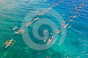 Oslob Whale Shark Watching in Philippines, Cebu Island