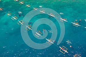 Oslob Whale Shark Watching in Philippines, Cebu Island