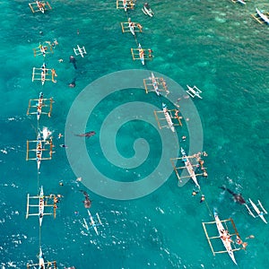 Oslob Whale Shark Watching in Philippines, Cebu Island