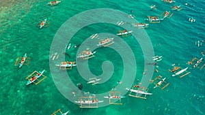 Oslob Whale Shark Watching in Philippines, Cebu Island.