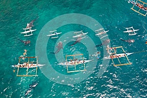 Oslob Whale Shark Watching in Philippines, Cebu Island. People snorkeling and and watch whale sharks from above