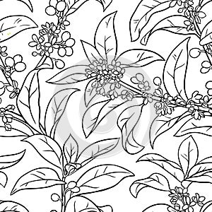 Osmanthus seamless pattern