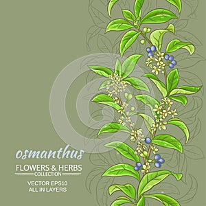 Osmanthus vector background