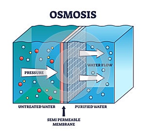 Osmosis process explanation for untreated water purification outline diagram