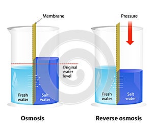 Osmosis and Reverse Osmosis