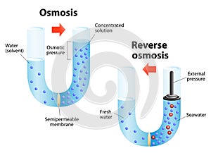 Osmosis and Reverse osmosis