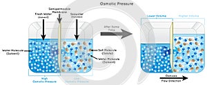 Osmotic Pressure Infographic Diagram showing fresh water separated from seawater