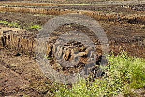 Osnabruecker Land (Germany) - Harvesting of peat