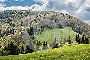 Osnica hill, Little Fatra, Slovakia, springtime scene