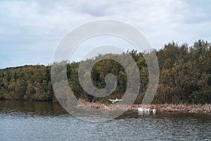 Oso Flaco Lake, Oceano, California photo