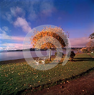 Osorno volcano , lake Frutillar, Patagonia, Chile