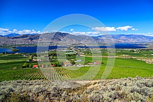 Osoyoos Lake Okanagan Valley Landscape