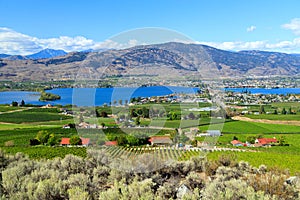 Osoyoos Lake Okanagan Valley Landscape photo