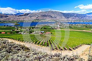 Osoyoos Lake Okanagan Valley Landscape photo