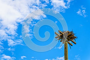 Osprey or Fish Hawk Nest made of twigs and branches on a tall pole along the Coldwater Road near Merritt, BC