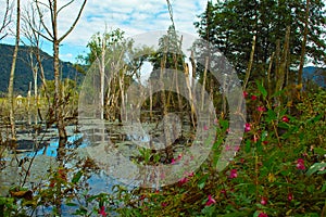 the Ossiacher lake in Austria