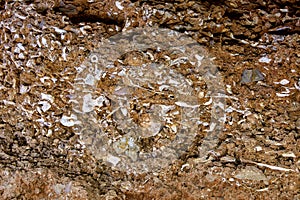 Ossuary prehistoric in Cueva Calaveras of Benidoleig
