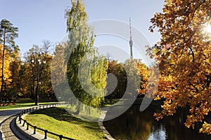 Ostankino city Park on autumn