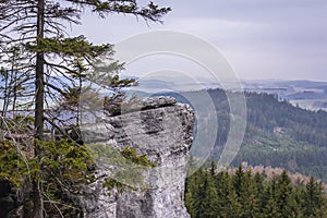 Ostas in Czech Republic photo