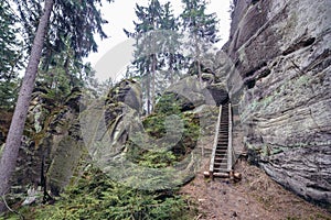 Ostas in Czech Republic photo