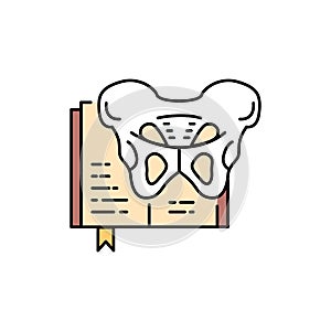 Osteology color line icon. Pictogram for web page, mobile app
