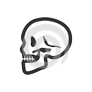 Osteology icon