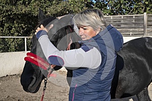 Osteopath and horse