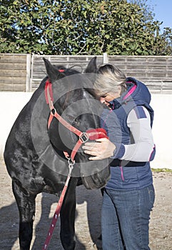 Osteopath and horse