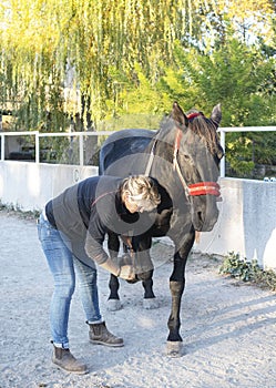 Osteopath and horse