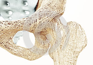 Osteoporosis - upper limb bones - 3d rendering