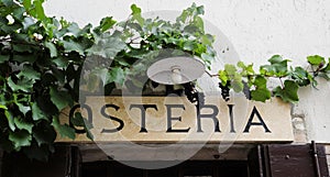 Osteria, Tavern. Typical italian restaurant sign with grapevine plant and real bunches of grapes. ArquÃ¯Â¿Â½ Petrarca, Veneto, Italy photo