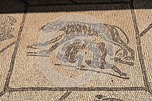 ostia antica port on the Tiber in Rome. Roman Archeology site