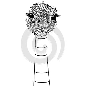 Ostrich bird head as symbol for mascot or emblem design, logo vector illustration for t-shirt.