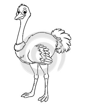 Ostrich Cartoon Animal Illustration BW