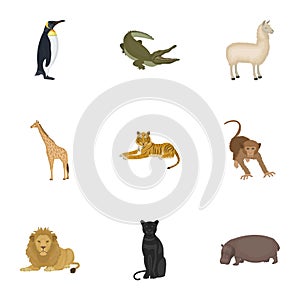 Ostrich emu, crocodile, giraffe, tiger, penguin and other wild animals. Artiodactyla, mammalian predators and animals