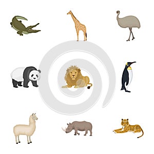 Ostrich emu, crocodile, giraffe, tiger, penguin and other wild animals. Artiodactyla, mammalian predators and animals