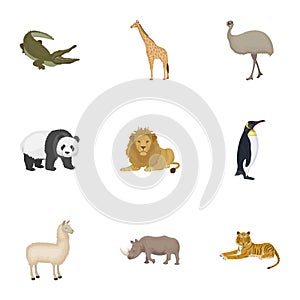 Ostrich emu, crocodile, giraffe, tiger, penguin and other wild animals. Artiodactyla, mammalian predators and animals photo