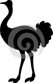 ostrich emu vector silhouette black