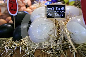 Ostrich and emur eggs in a market