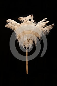 Ostrich Feather Duster