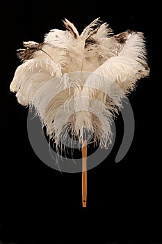 Ostrich Feather Duster